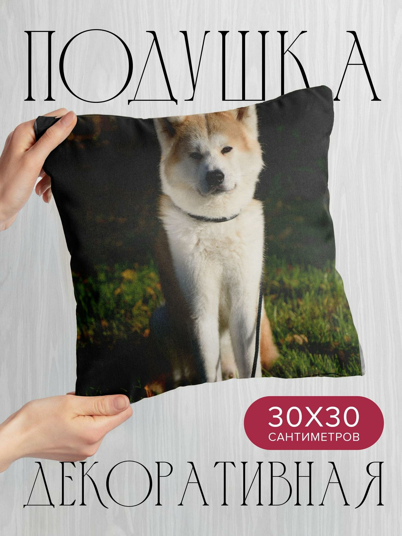 Подушка декоративная, 30x30см / Животные / сиба-ину / собака