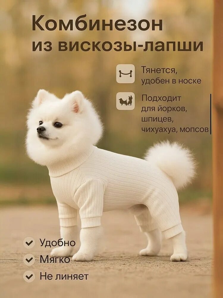 Одежда для животных, 1, Количество упаковок в товаре: 1 Единиц в одной упаковке: 1