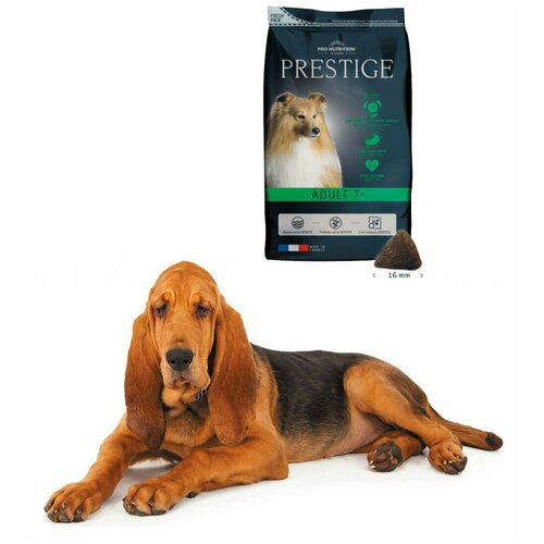 Сухой корм Pro-Nutrition Flatazor Prestige Adult 7+ для пожилых собак всех пород (15 кг)