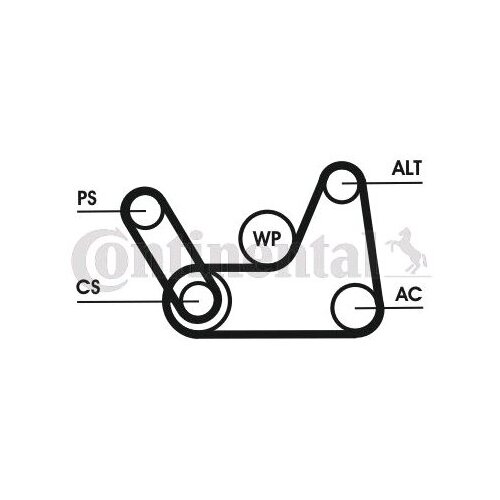 Ремень ручейковый Ford Fiesta Ford Fusion 02- CONTINENTAL 6PK1019ELASTT1