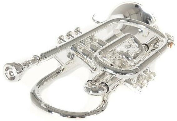 Корнет Roy Benson CR-302s — фото 1