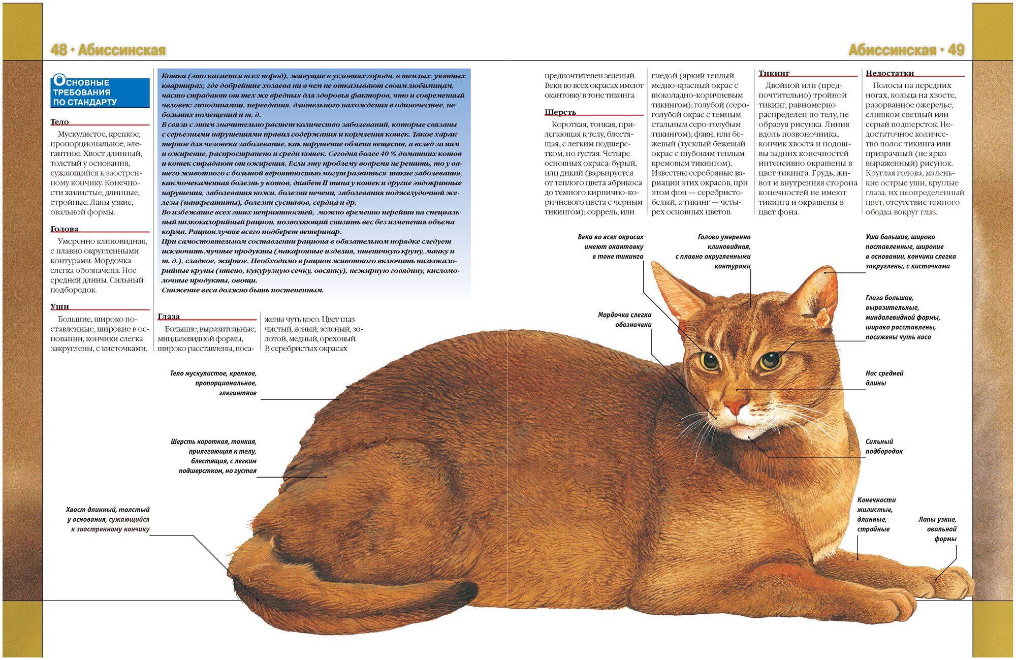 Кошки. Новая иллюстрированная энциклопедия - фото №2