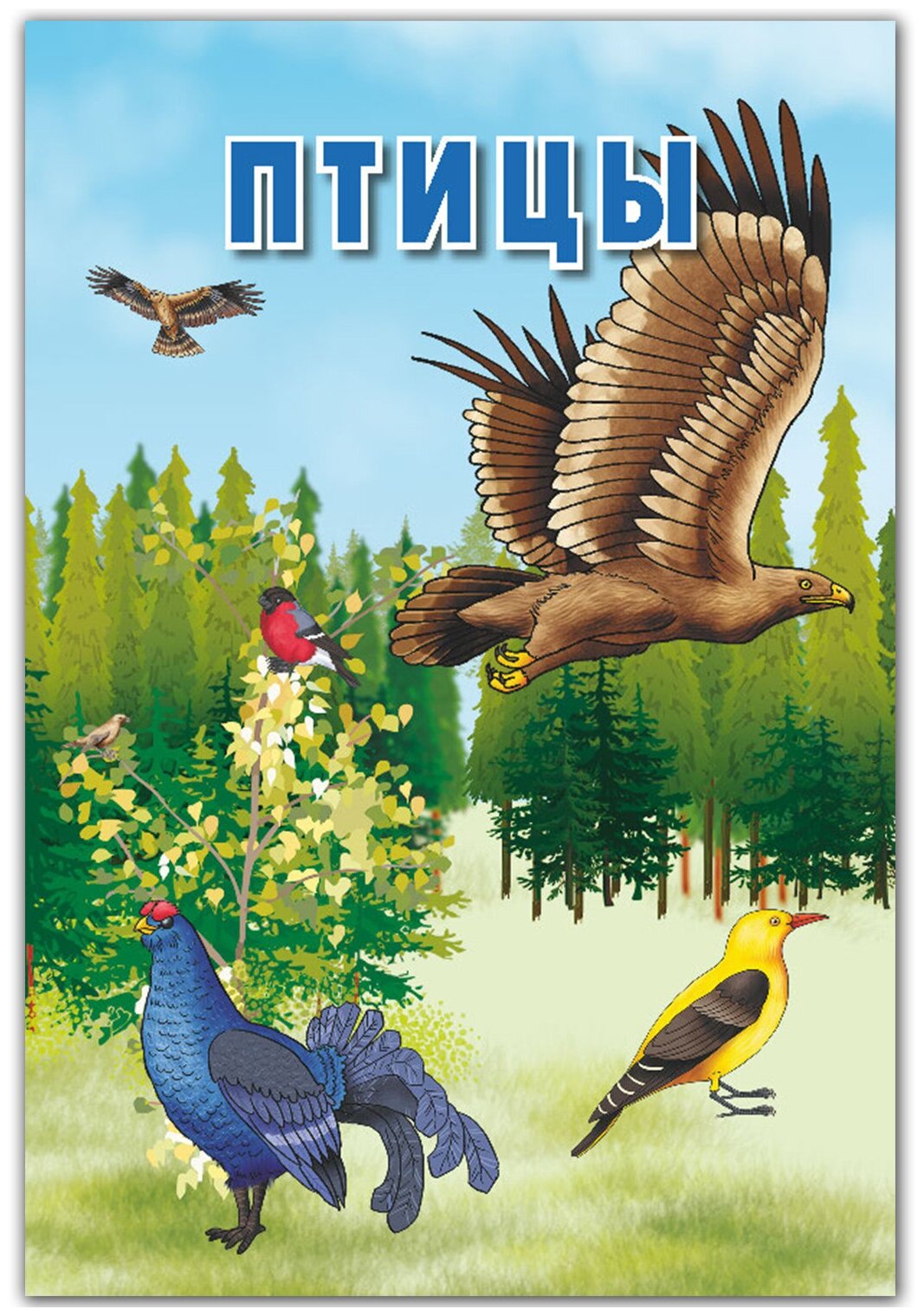Карточки. Птицы. Интересные факты о каждой птице. 15 карточек РУЗ Ко - фото №1