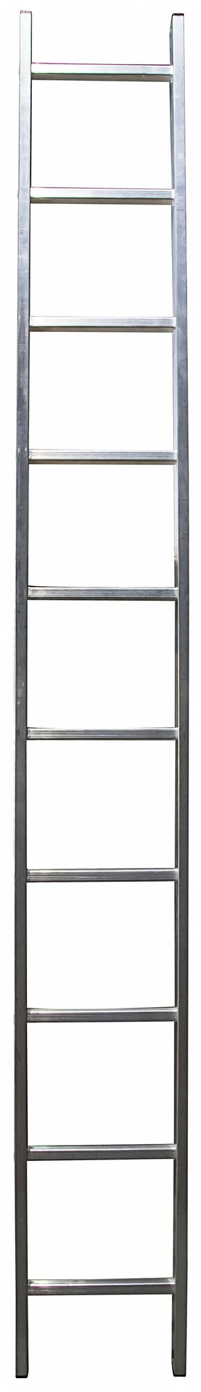 фото Gigant Лестница односекционная L-01 1x10