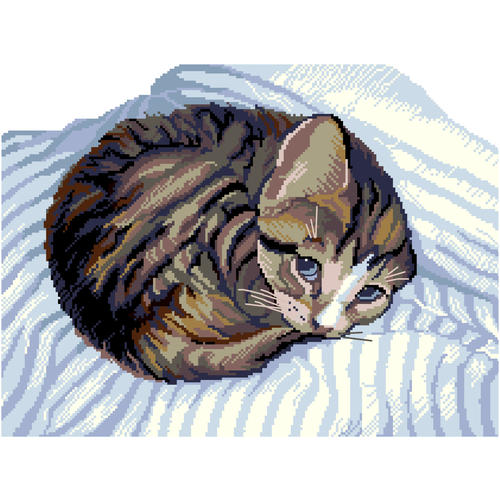 Nitex Набор для вышивания Котёнок (2081), разноцветный, 38 х 33 см