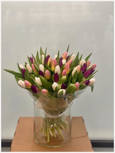 Изображение товара Монобукет wowflo, тюльпаны, 101 шт, разноцветные, сборка на стеблях