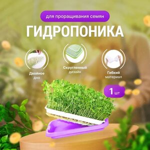 Проращиватель семян / Лоток для проращивания микрозелени Фиолетовый / Гидропоника 1 штуки