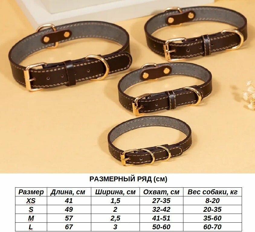 Ошейник для собак из экокожи коричневый, размер XS - фотография № 3