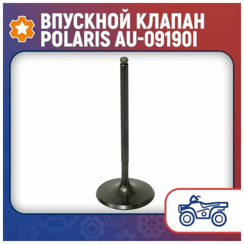 Впускной клапан Polaris AU-09190I