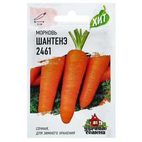 Семена Морковь Шантенэ 2461, 2 г серия ХИТ х3 семена морковь шантенэ 2461 1 5 г серия хит х3