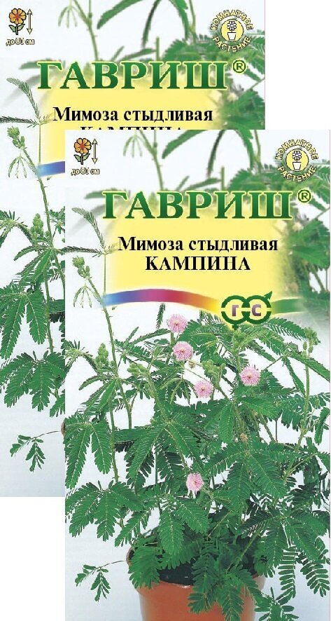 Мимоза стыдливая Кампина (0,1 г), 2 пакета