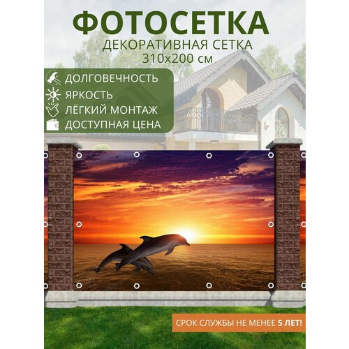 Фотосетка для забора - 310x200 см. Сетка с рисунком для беседки, ворот (ФГ)