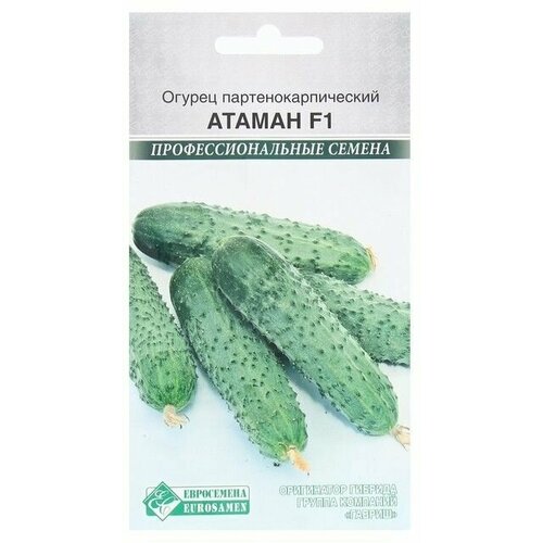 Семена Огурец партенокарпик Атаман , 5 шт 4 упаковки семена огурец партенокарпик седрик f1 5 шт