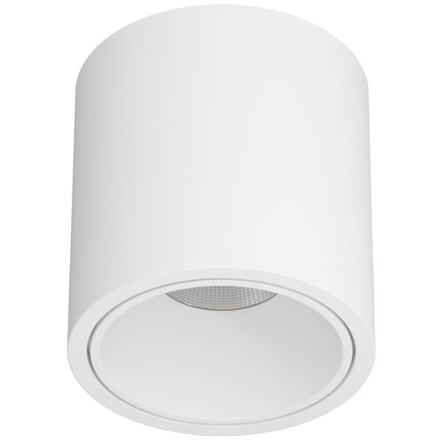 Влагозащищенный светильник LeDron RINBOK White