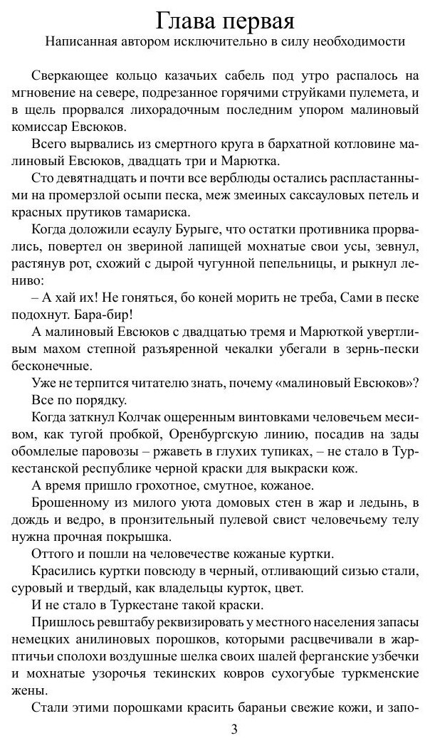 Сорок первый (Лавренев Борис Андреевич) - фото №4