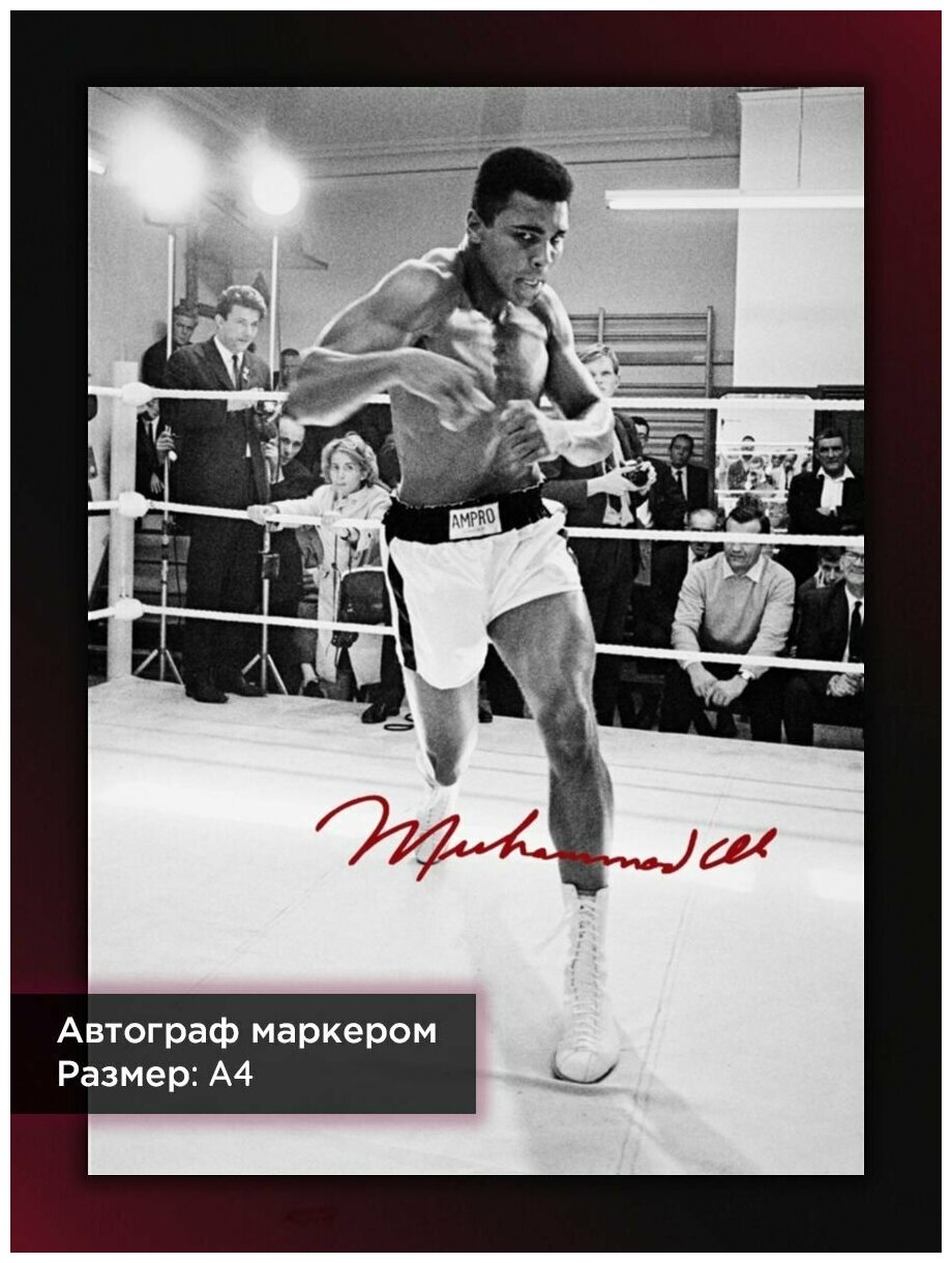 Постер с автографом Мухаммед Али, Величайший Али, Бокс, А4, без рамы
