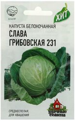 Семена Капуста белокочанная "Слава Грибовская 231", для квашения, 0.5 г серия ХИТ х3