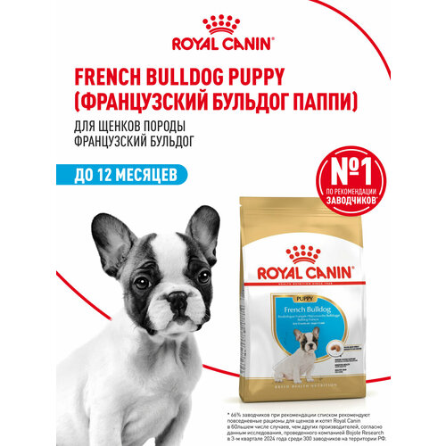 Royal Canin French Bulldog Puppy (Французский бульдог паппи) Корм сухой для щенков породы Французский Бульдог до 12 месяцев, 3кг