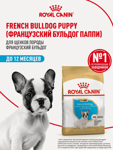 Изображение товара Сухой корм для щенков Royal Canin Puppy для породы французский бульдог, 3 кг