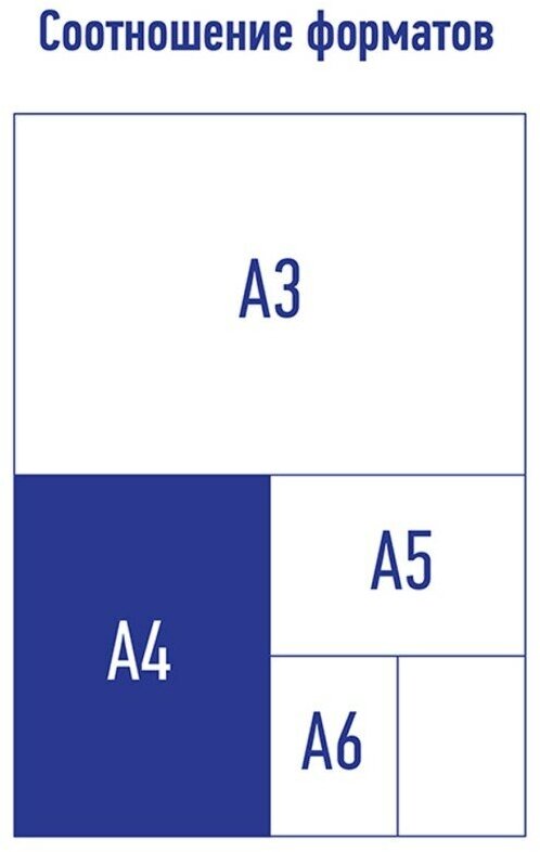 Папка-конверт на кнопке Berlingo Aqua XS (А4, 180мкм, пластик) с рисунком (EFb_A4012)