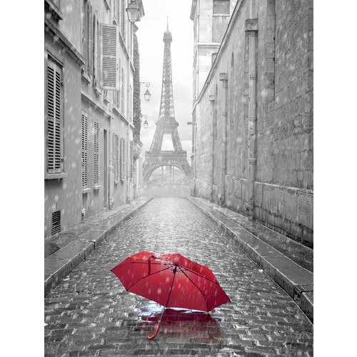 Фотообои Vostorg А 165 Парижский дождь 196х260см