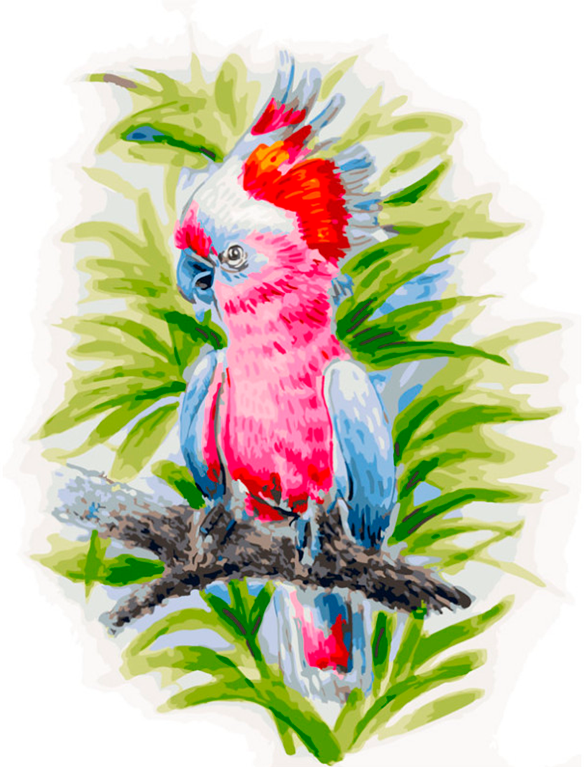 Живопись на холсте "Розовый попугай", 30х40 см (361-AS) Белоснежка - фото №1