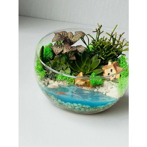 Флорариум / Комнатное растение дизайнерское / Подарок