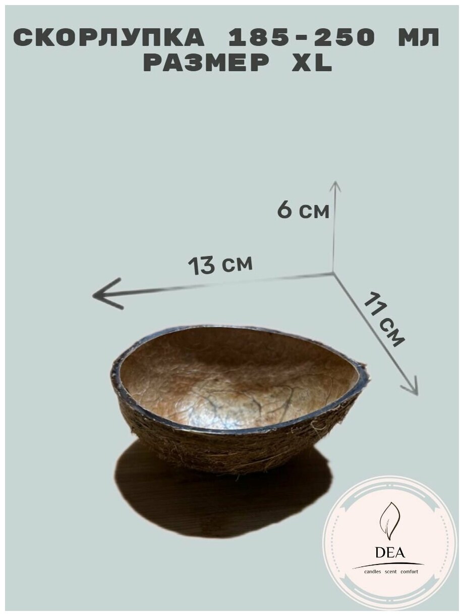 Кокосовая скорлупа XL (3 половинки) для изготовления свечей - фотография № 2