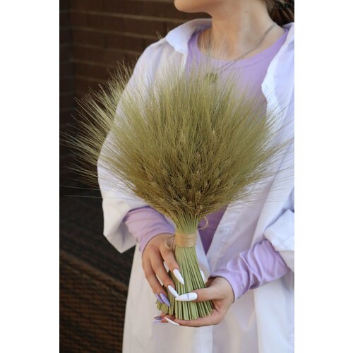 Лавандовый замок / Композиция сухоцветы пшеницы (самостоящая с остями) в подарочной упаковке / высота 45см.