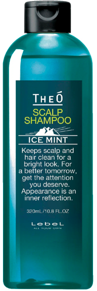 Шампунь мужской многофункциональный Ледяная мята, для мужчин / THEO SCALP SHAMPOO ICE MINT 320 мл