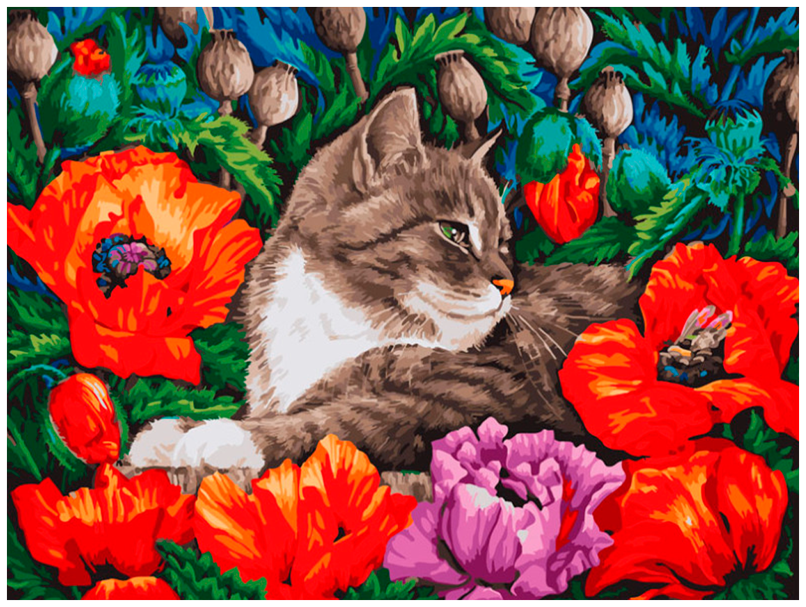 Картина по номерам Белоснежка "Кот в маках"/ Раскраска / На картоне 30х40 см. / Домашние животные / Цветы