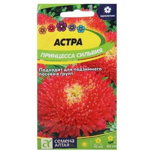 Семена цветов Астра Принцесса Сильвия, арминно-красная 0,2 г 7 упаковок семена астра принцесса красная смесь 0 5 г серия 1 1