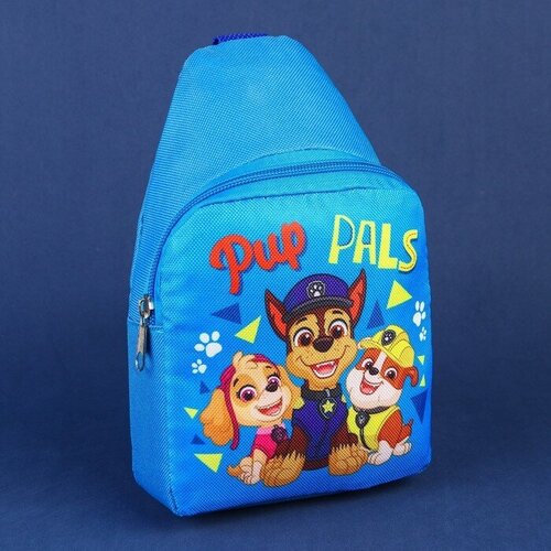 фото Сумка , синий paw patrol