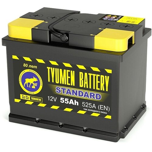 Аккумулятор автомобильный TYUMEN BATTERY STANDARD 6СТ-55 обр 242x175x190