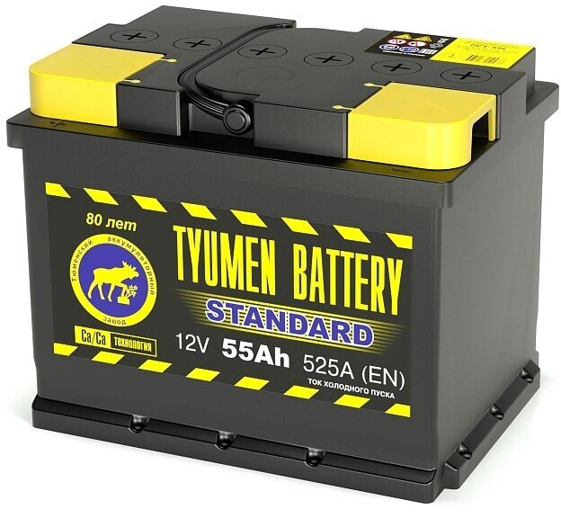 Аккумулятор автомобильный TYUMEN BATTERY STANDARD 6СТ-55 обр 242x175x190