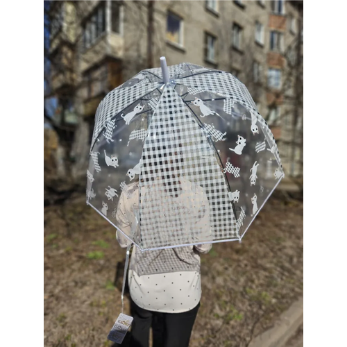 фото Зонт-трость galaxy of umbrellas, полуавтомат, купол 75 см., 8 спиц, прозрачный, для женщин, белый