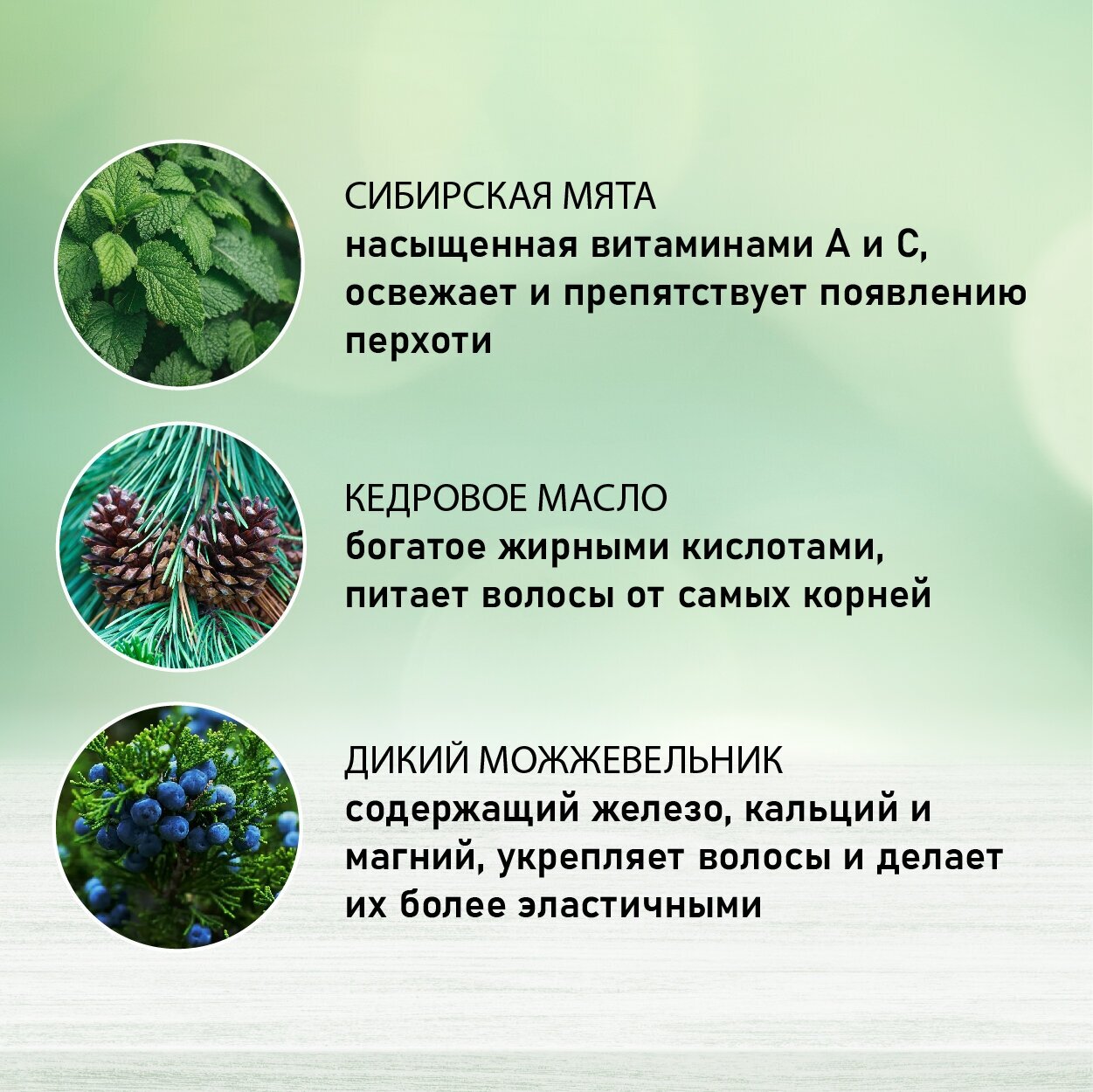 Шампунь для волос Русское Поле На каждый день "Энергия и свежесть", 1000 мл.