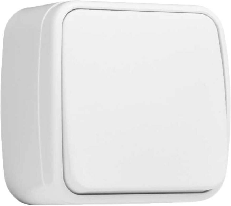 фото 1-клавишный выключатель EKF Минск ОП 10А белый Basic SQEGV10-021-10