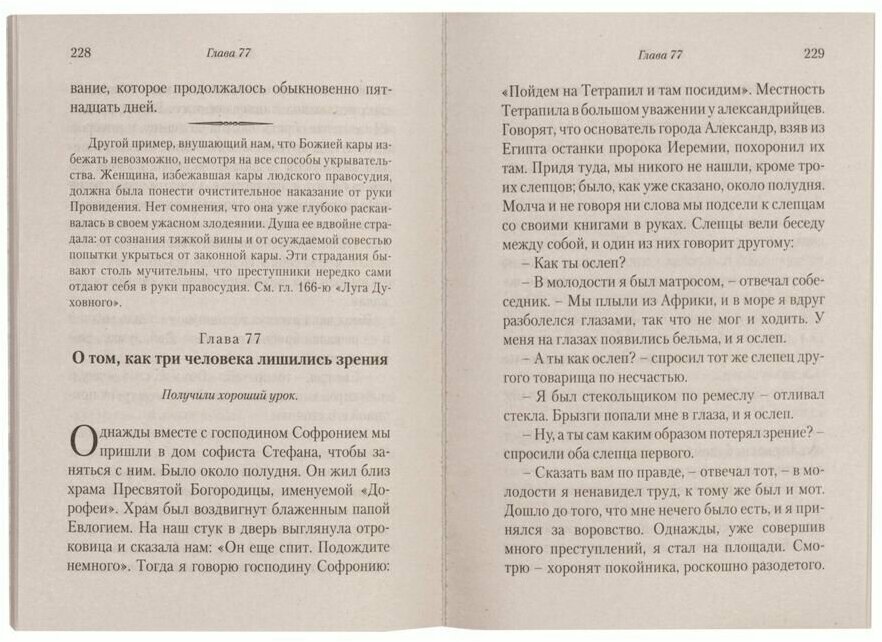 Луг духовный. Достопамятные сказания о подвижничествве святых и блаженных отцов - фото №8