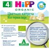Фото #10 Пюре HiPP органическое Цветная капуста, с 4 месяцев