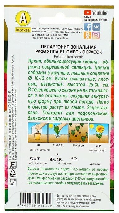 Семена комнатных цветов Агрофирма Аэлита Пеларгония "Рафаэлла" F1, 5 шт