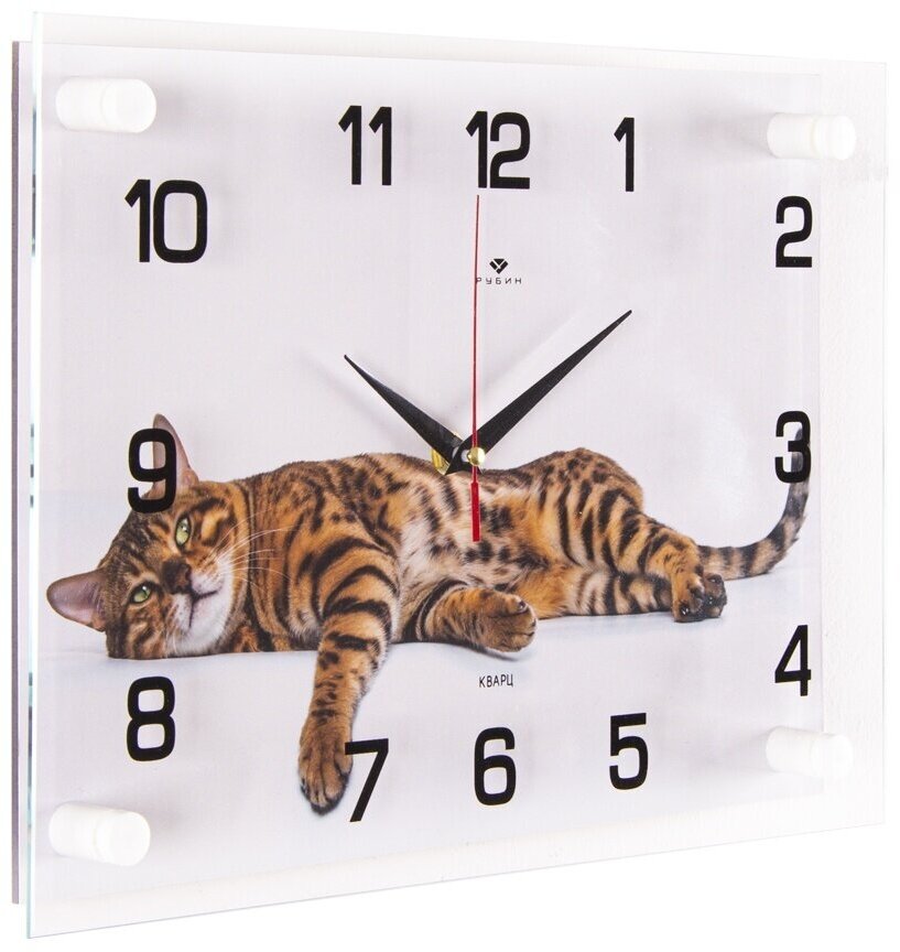 Часы настенные Рубин "Бенгальский кот" (2535-096)