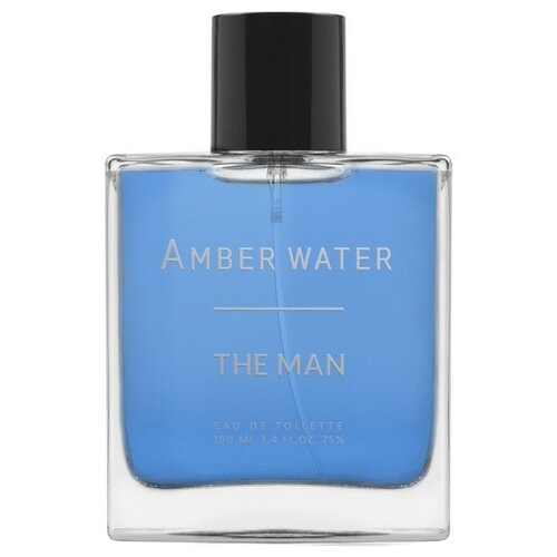 Мужская туалетная вода Christine Lavoisier Parfums The Man Amber Water 100 мл