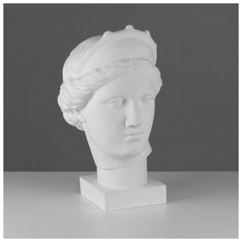 Гипсовая фигура Голова Венеры Капуа (с кокошником) 20,5 х 29 х 40 см гипсовая фигура голова цезаря