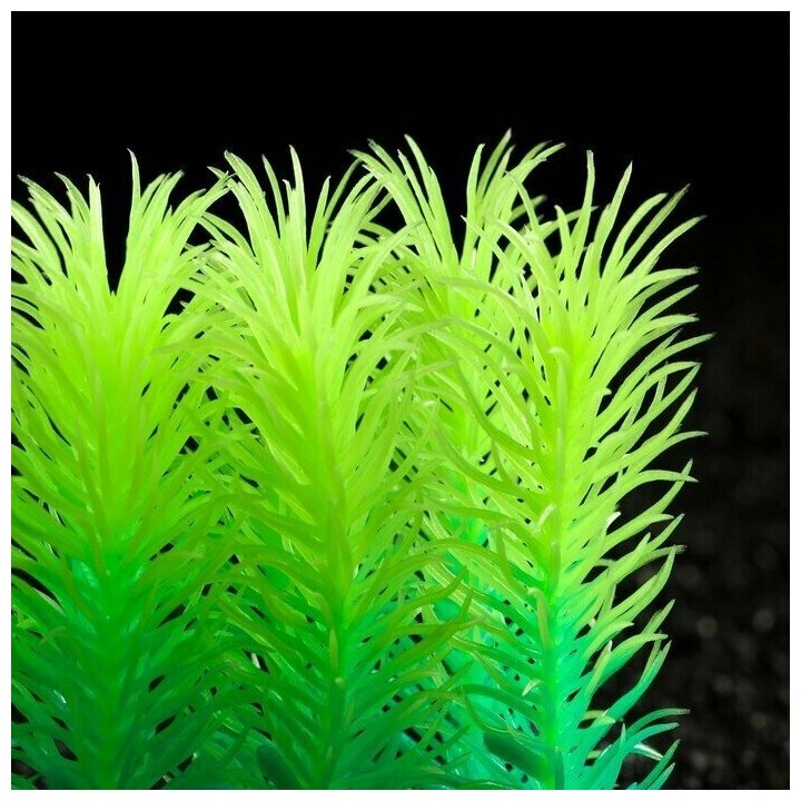 Растение аквариумное Пижон Аква искусственное, светящееся, 5 см, зеленое - фотография № 6