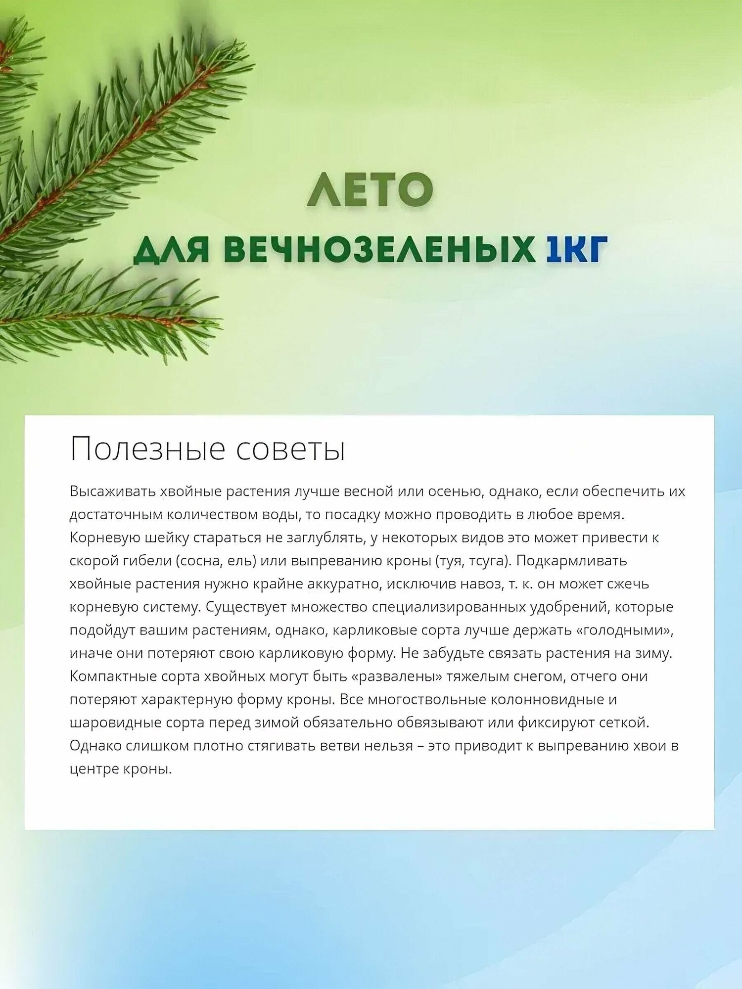 Удобрение комплексное минеральное "Лето" для вечнозеленых 1 кг. Насыщенный состав для оздоровления хвойных деревьев и кустарников. Помогает сохранить яркий оттенок зелени — фото 1