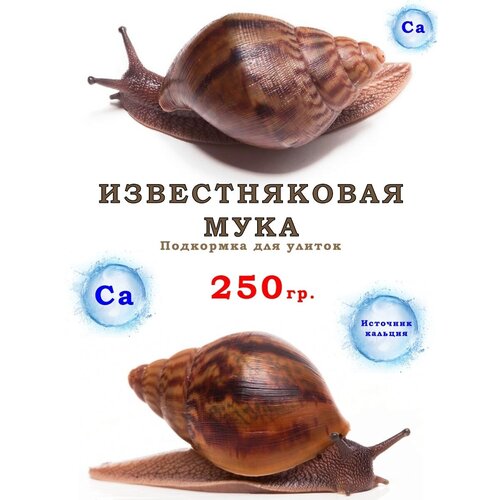 Известняковая мука для улиток 250гр