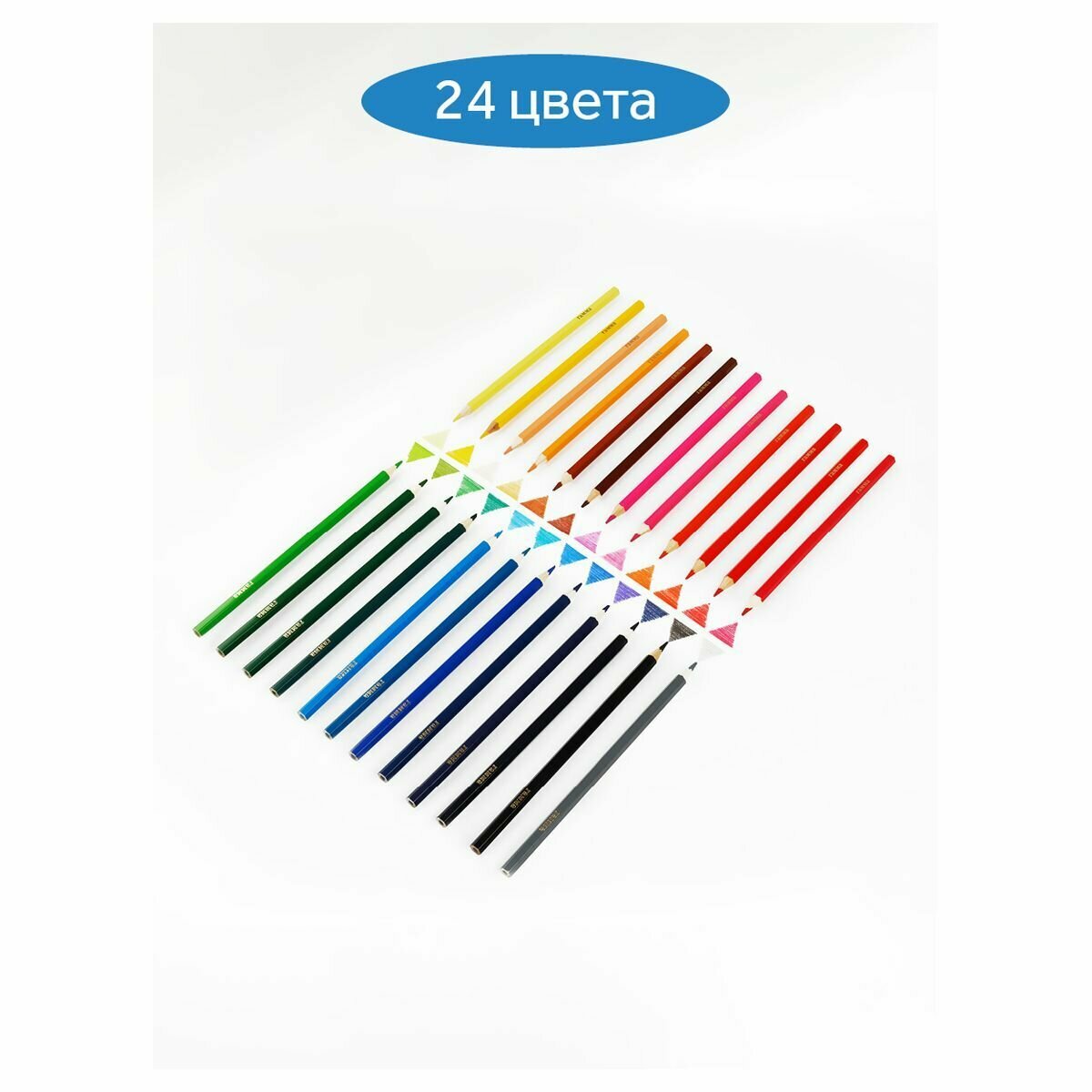 Цветные карандаши для школы 24 цвета для рисования мягкие / Школьный набор цветных карандашей Гамма "Классические"