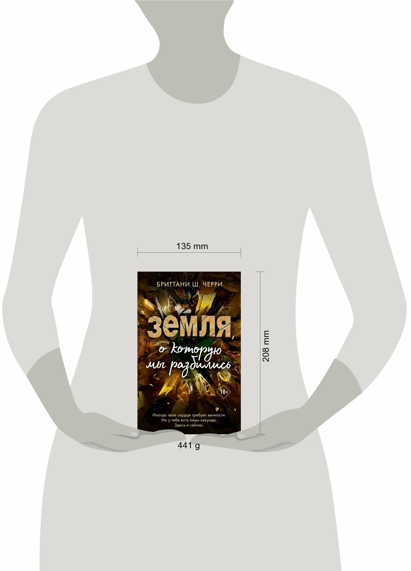 Земля, о которую мы разбились (Черри Бриттани Ш.) - фото №13
