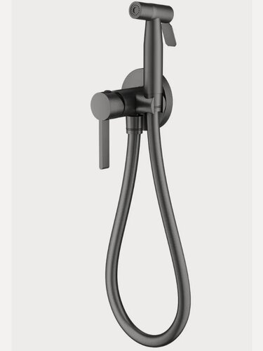 Изображение товара Смеситель S221.52.09, с гигиеническим душем, встраиваемый, графит
